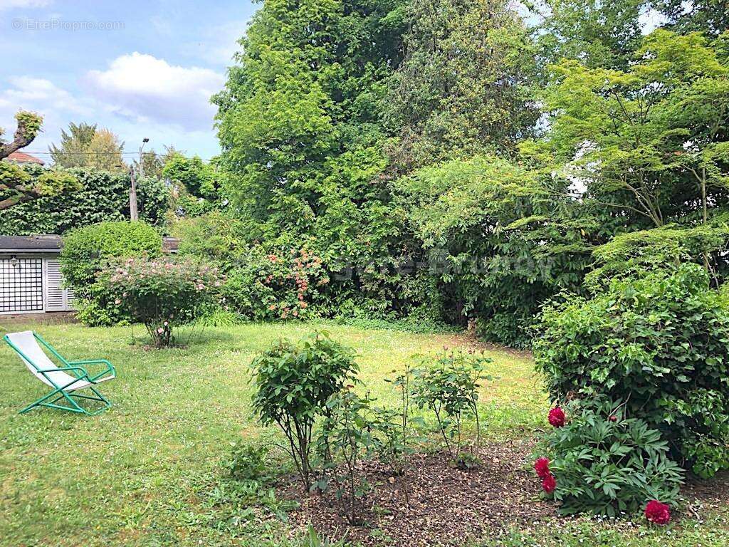 jardin ete - Maison à BRUNOY