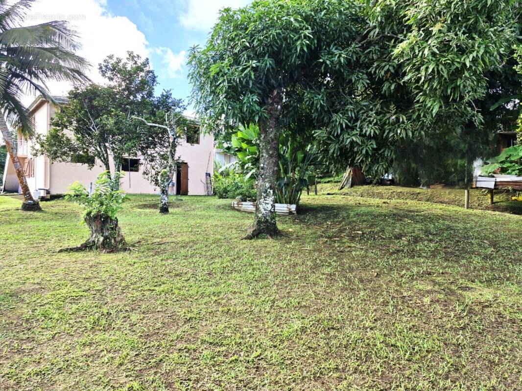 Maison à LE MORNE-ROUGE