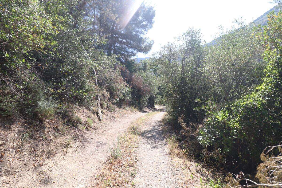 Terrain à PEILLE