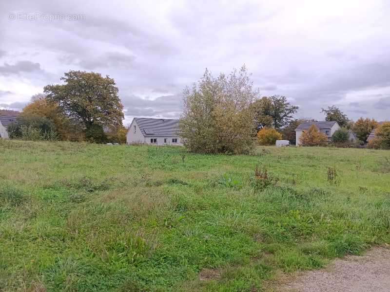 Terrain à BAVANS