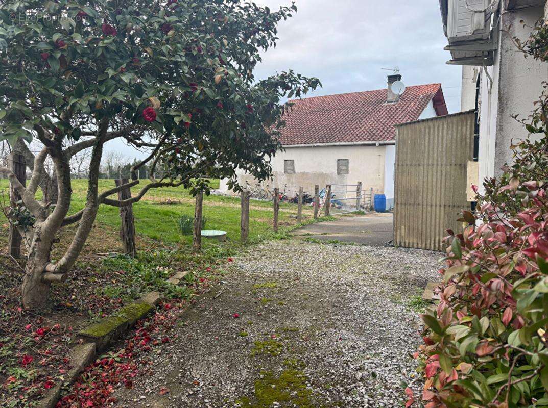 T4 jardin avec travaux et vue dégagée sur le pays basque - photo 2
