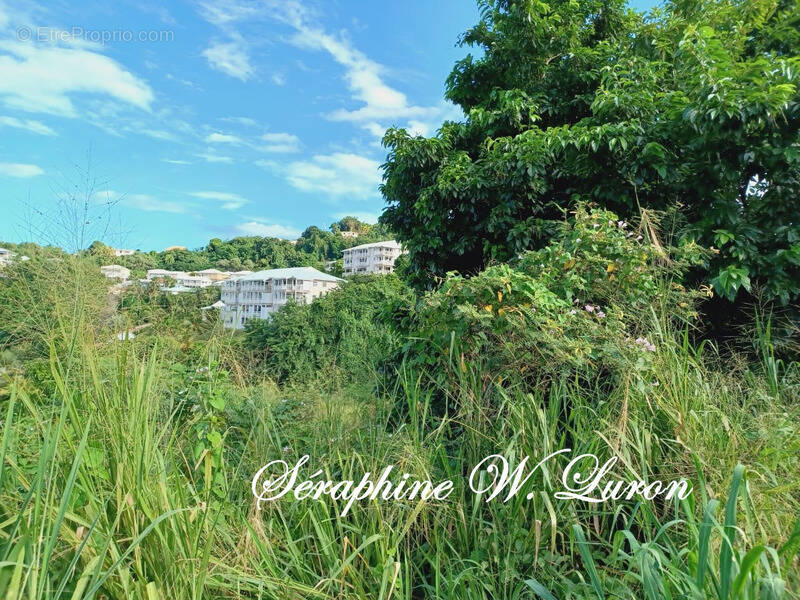 Terrain à LA TRINITE