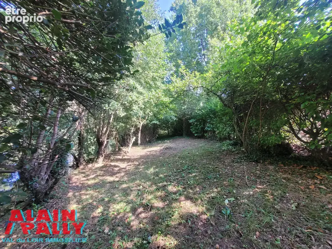 Terrain bord de loir - photo 3