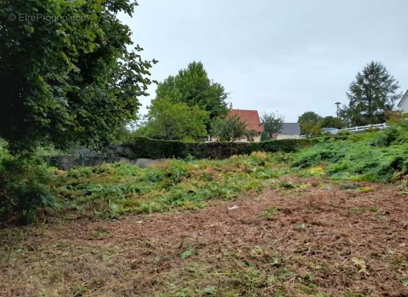 // A SAISIR // Terrain constructible et viabilisé Les Monts d'Andaine 860 m2 - photo 2