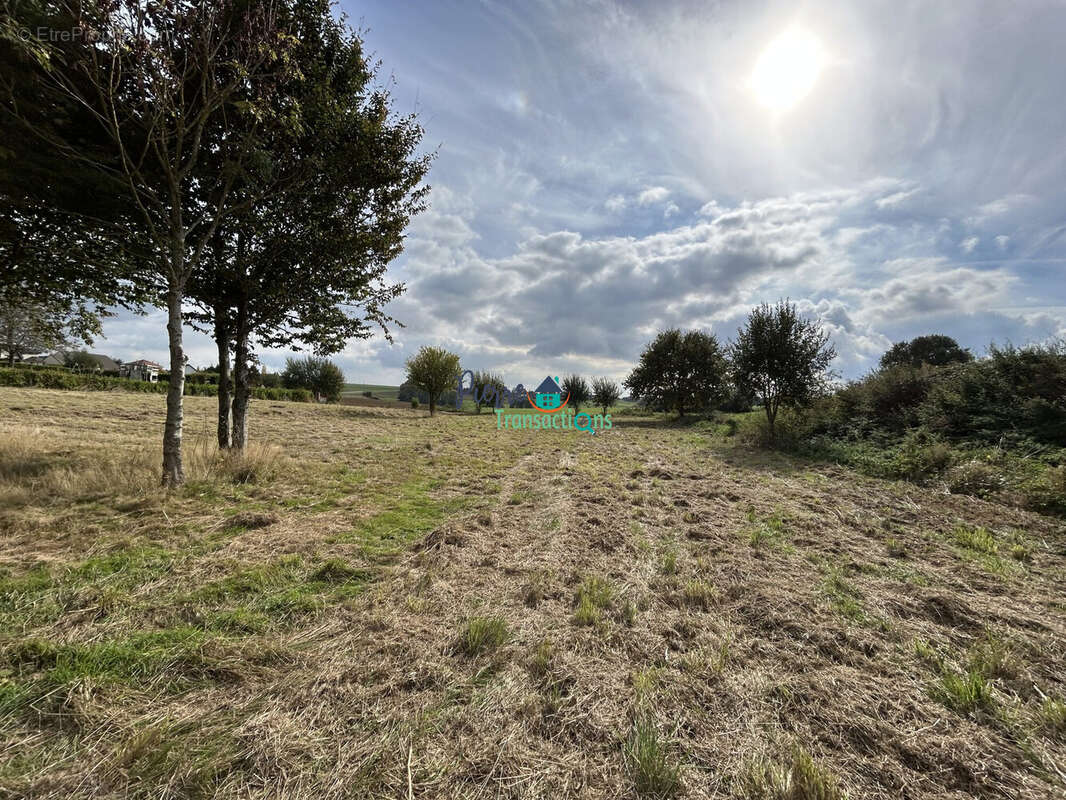Terrain à SAINT-NICOLAS-DE-LA-TAILLE