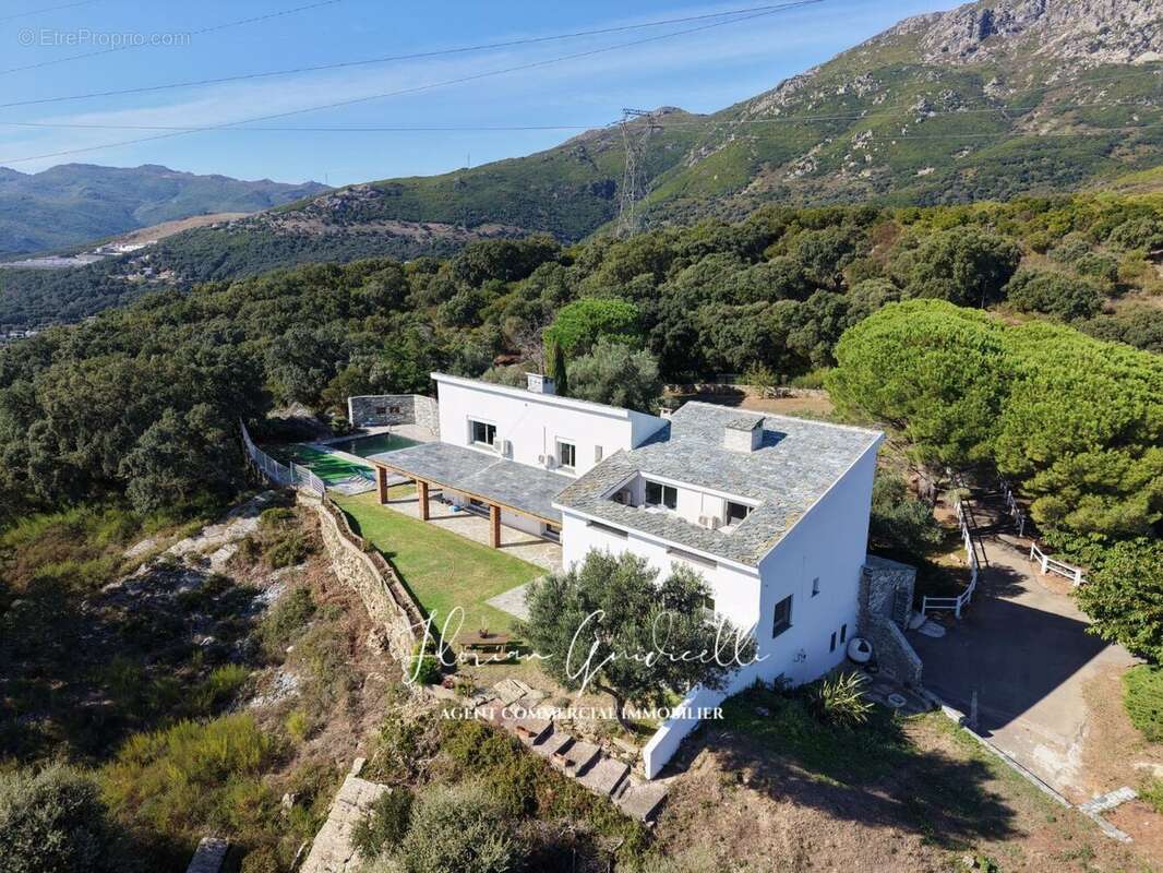 Maison à SAN-MARTINO-DI-LOTA