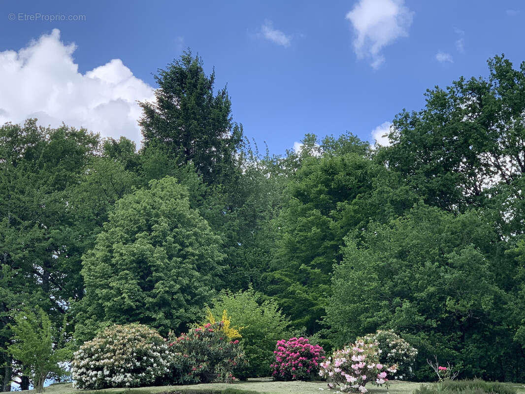 Maison à SAINTE-FORTUNADE