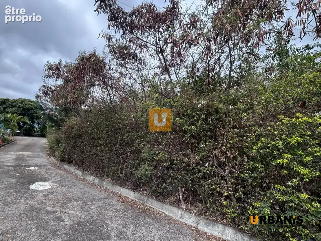 Terrain a vendre bois de nefles st paul - photo 2