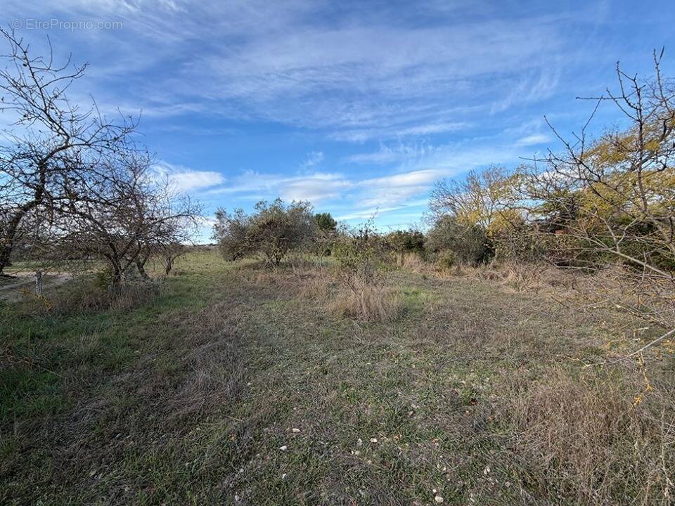 Terrain à PAULHAN