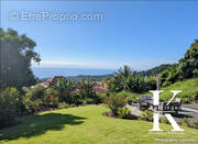 Terrain à SAINT-CLAUDE