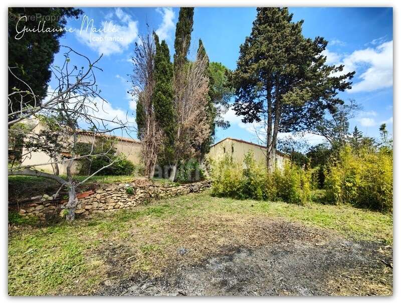 Exclusivité - Villa de plain-pied 4 pièces 95m² sur grand terrain constructible à Neffiès (34320) - photo 3