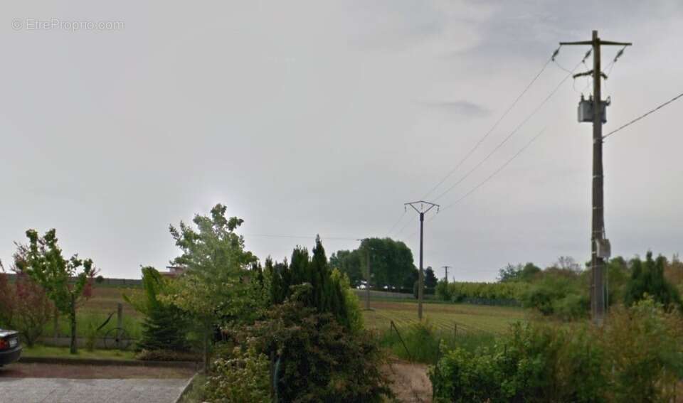 Terrain à MASNIERES