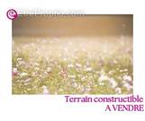 Terrain à LA POMMERAYE