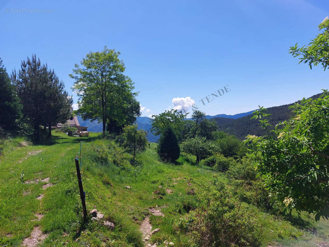 Vue panoramique - photo 36