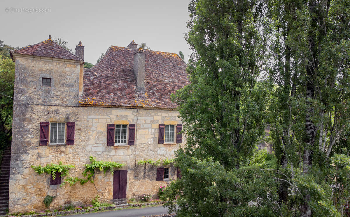 Maison de maître début XIXieme siecle, 9 pièce(s) 3ch, 200 m2,  grange, 2100 m2 terrain - photo 2