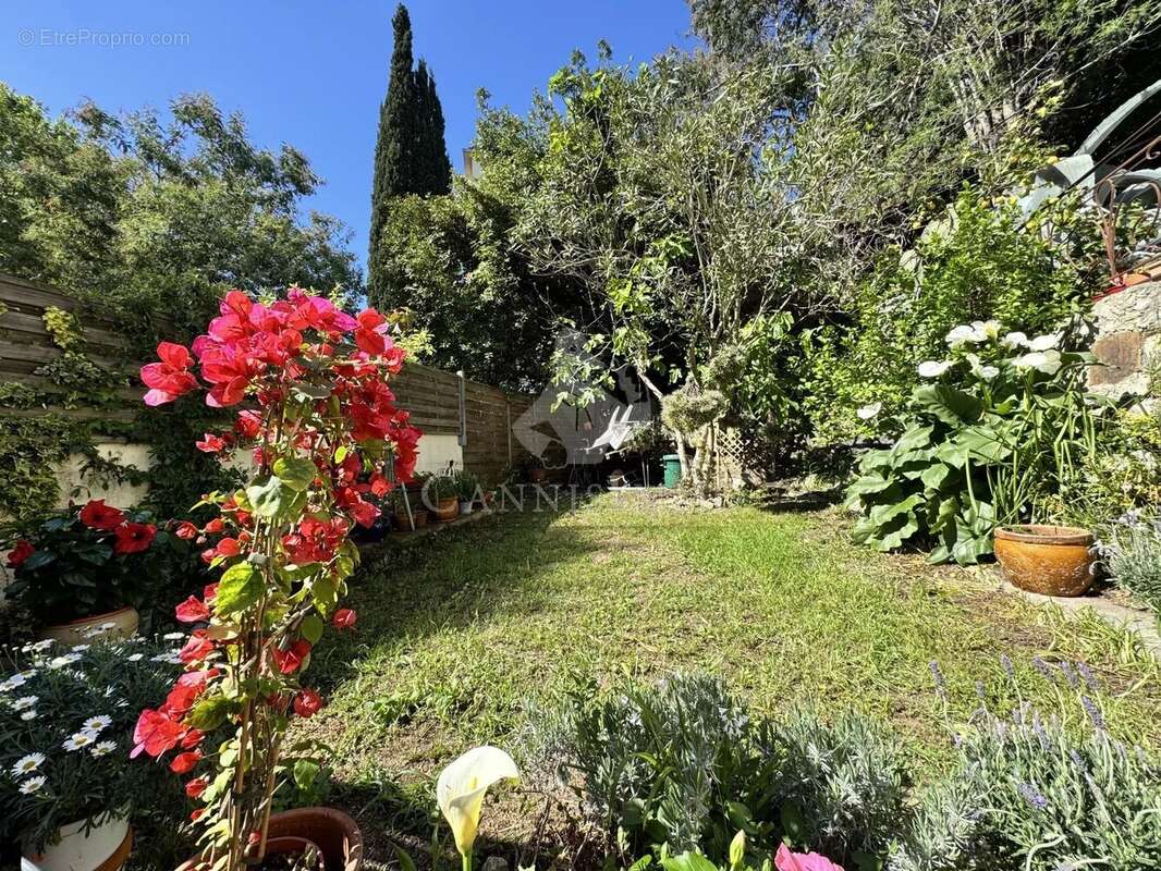 Maison 3 Pièces Cannes - photo 8