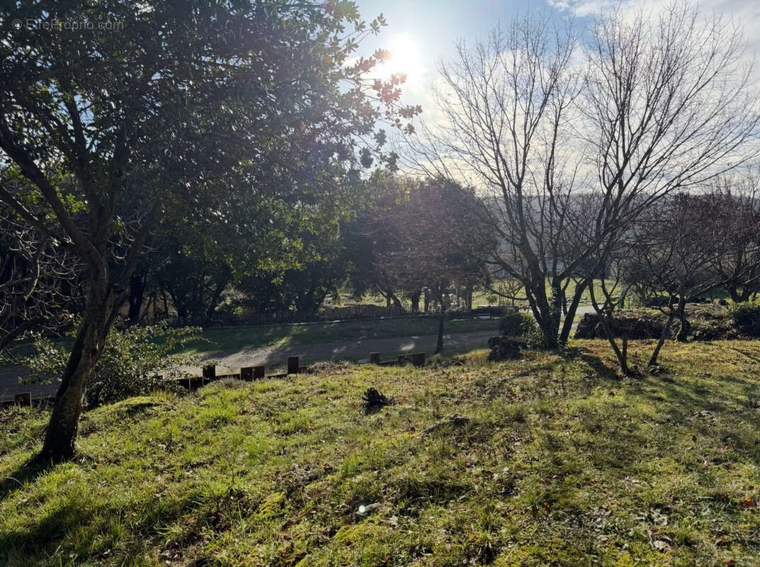 Terrain à LODEVE