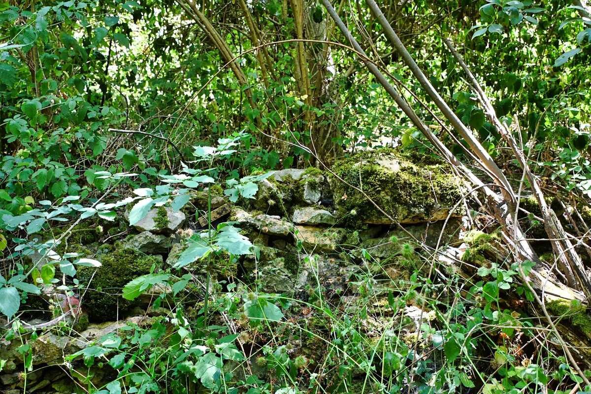 À vendre Aubigny : Projet de rénovation de rêve - photo 63
