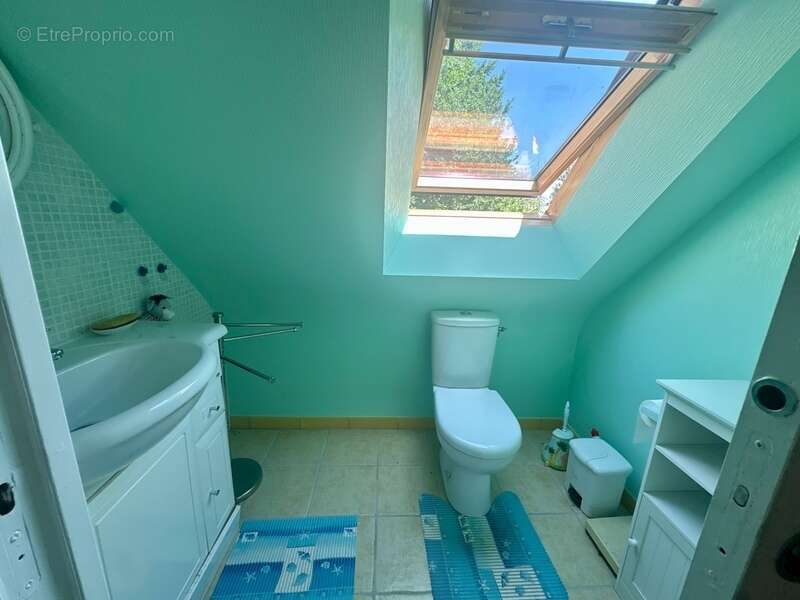 Maison à vendre 7 pièces  (56) - photo 6
