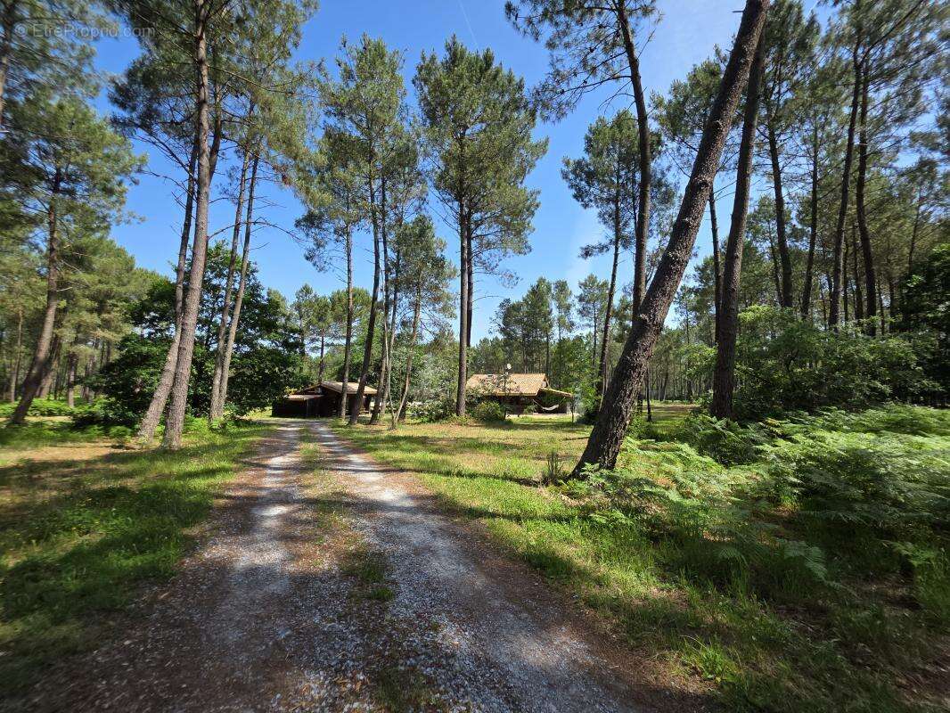 Maison 630 m² à Biscarrosse  - photo 4