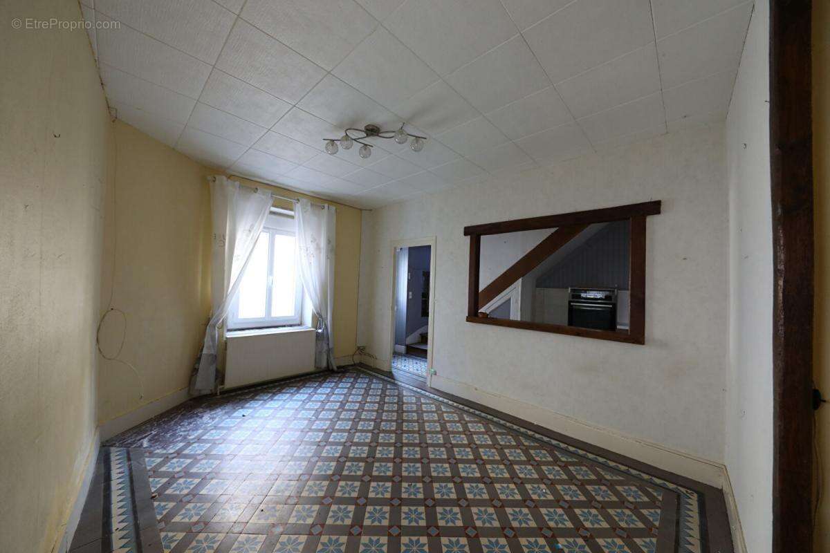 Maison à OUZOUER-SUR-TREZEE