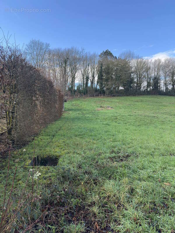 Terrain à CHATILLON-SUR-CHALARONNE