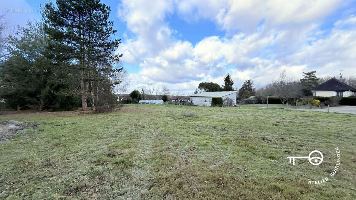 Terrain à MONTRIEUX-EN-SOLOGNE