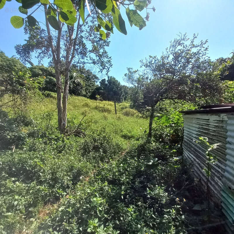 Maison à PETIT-BOURG