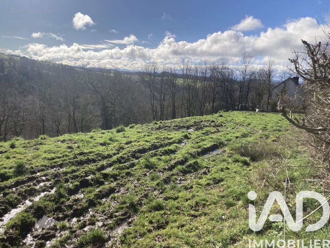 Photo 3 - Terrain à LOSTANGES