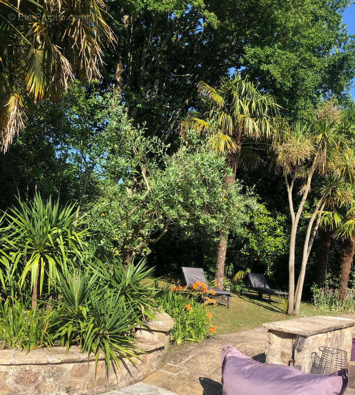 Maison à SAINT-ANDRE-DES-EAUX