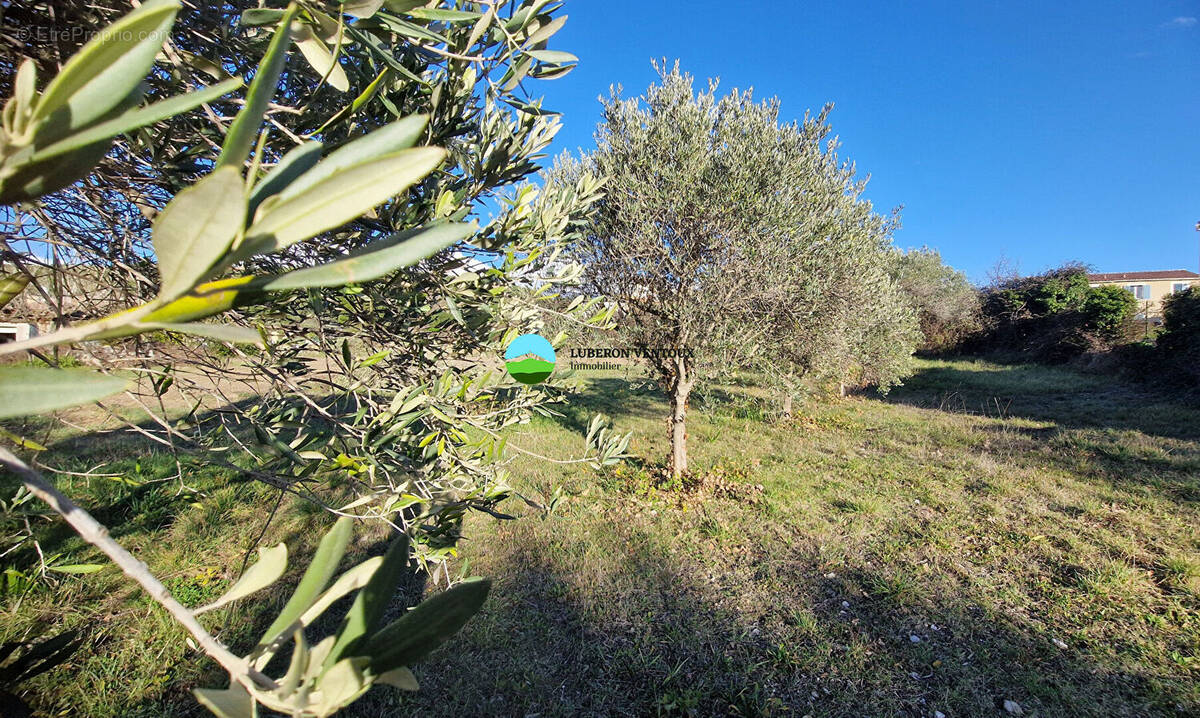 Terrain à CAROMB