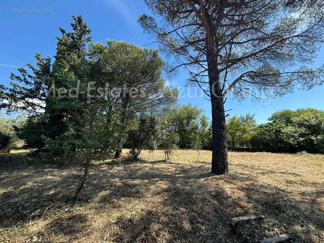 Terrain à GRIMAUD
