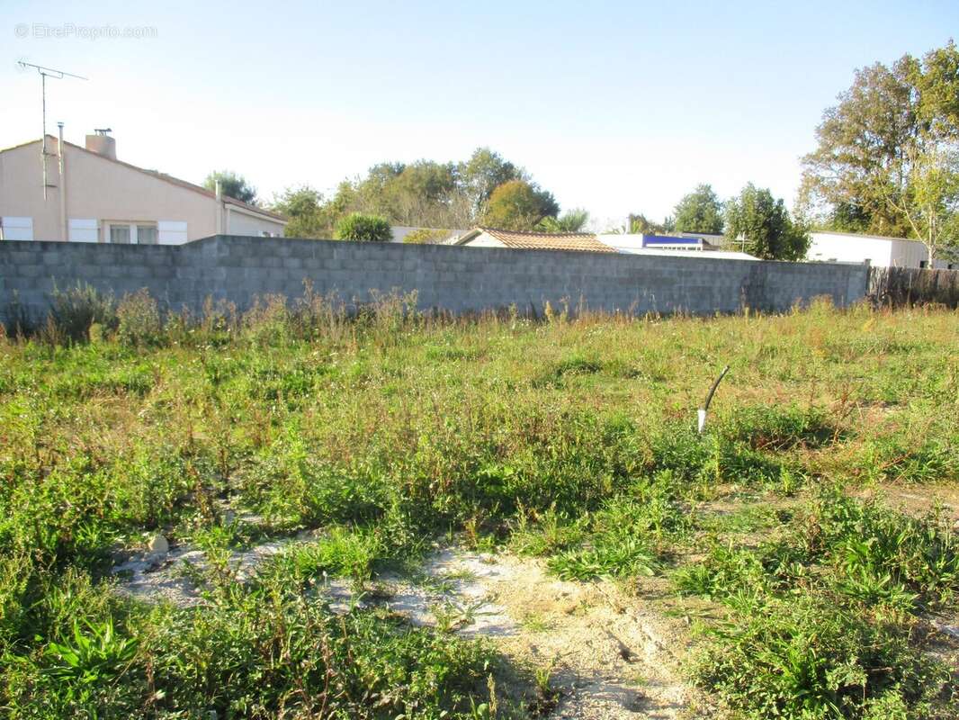 Terrain à SAINTE-FOY