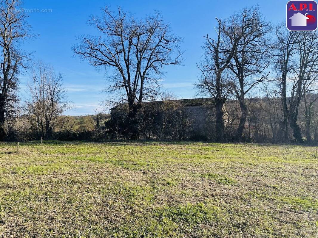 Terrain à CARLA-BAYLE