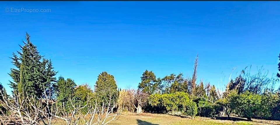 Terrain 614 m² à Corneilla-La-Riviere  - photo 2