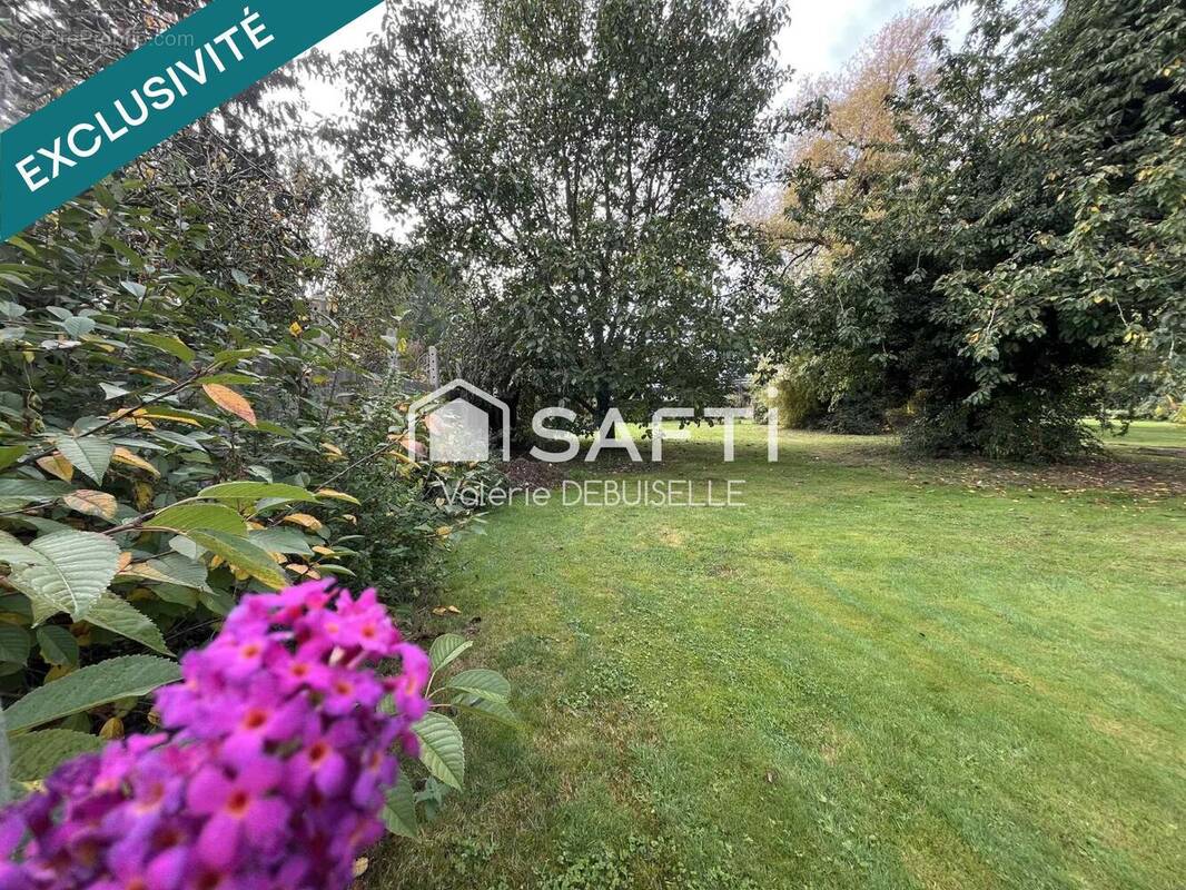 Photo 1 - Terrain à SALLAUMINES