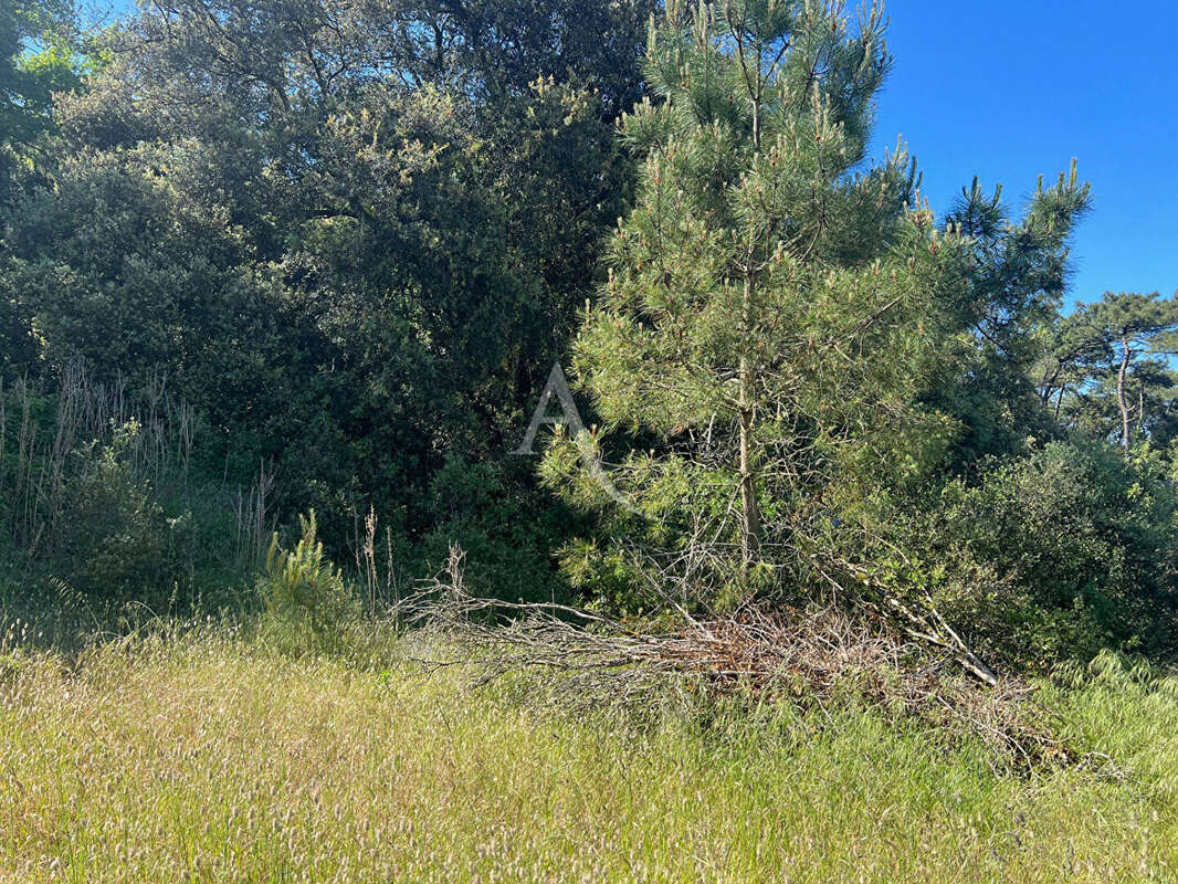 Terrain à LONGEVILLE-SUR-MER