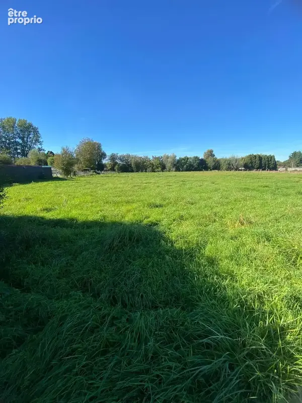 Terrain 6 494 m² à vendre à Andres (62340) - photo 5