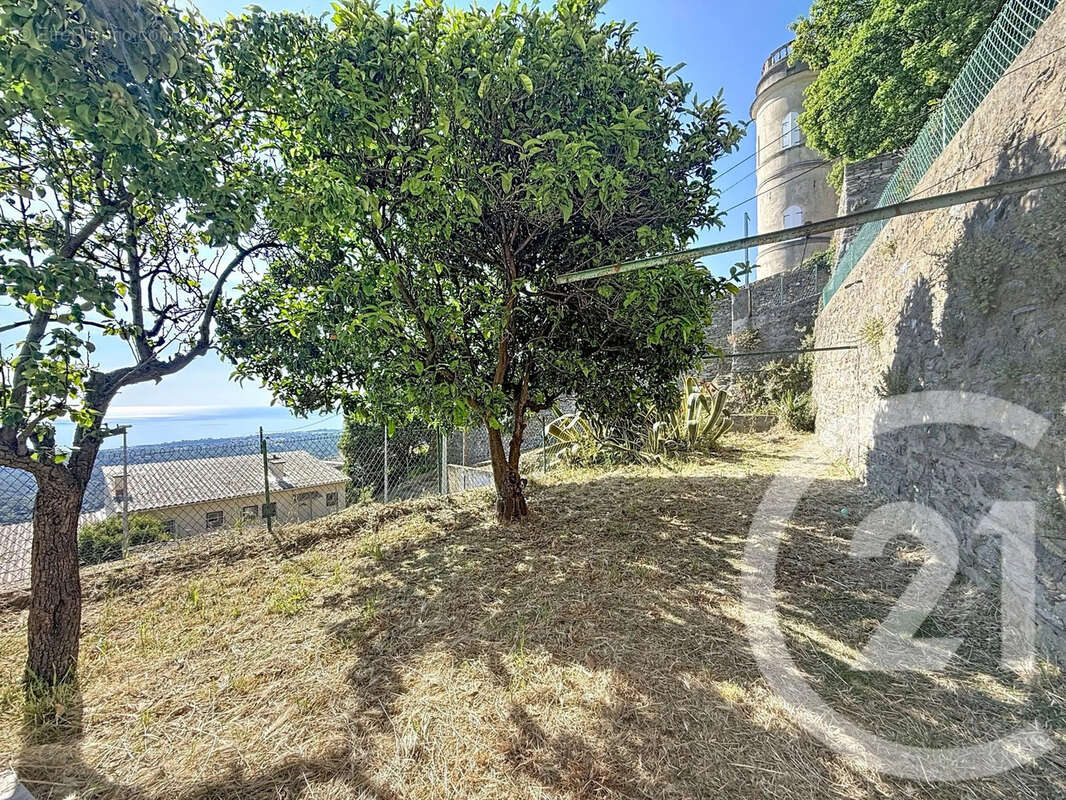 Appartement à CERVIONE