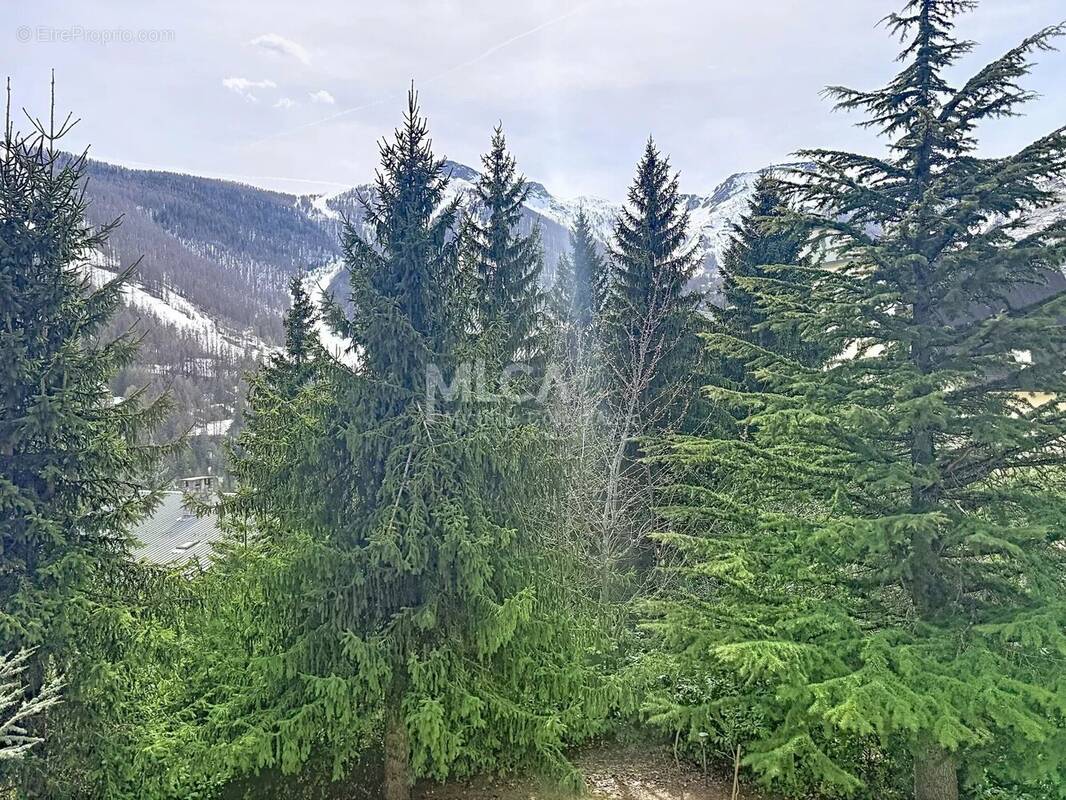 Appartement à SAINT-ETIENNE-DE-TINEE