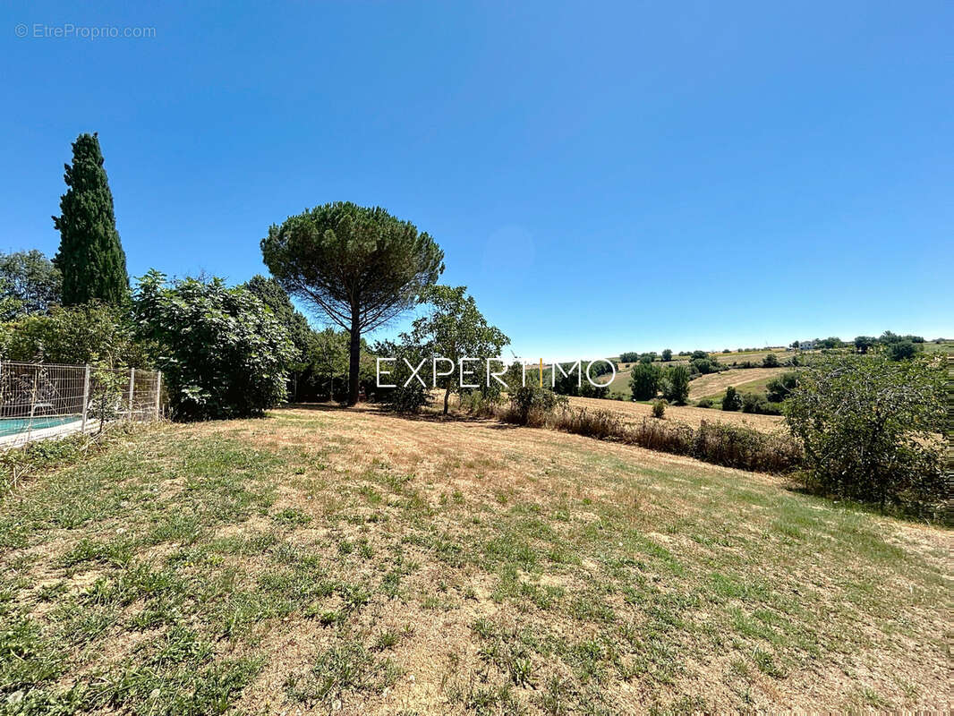 Montgiscard, cadre et environnement très nature pour cette maison de 7 pièces 195m2 env. avec sous-sol complet - photo 4