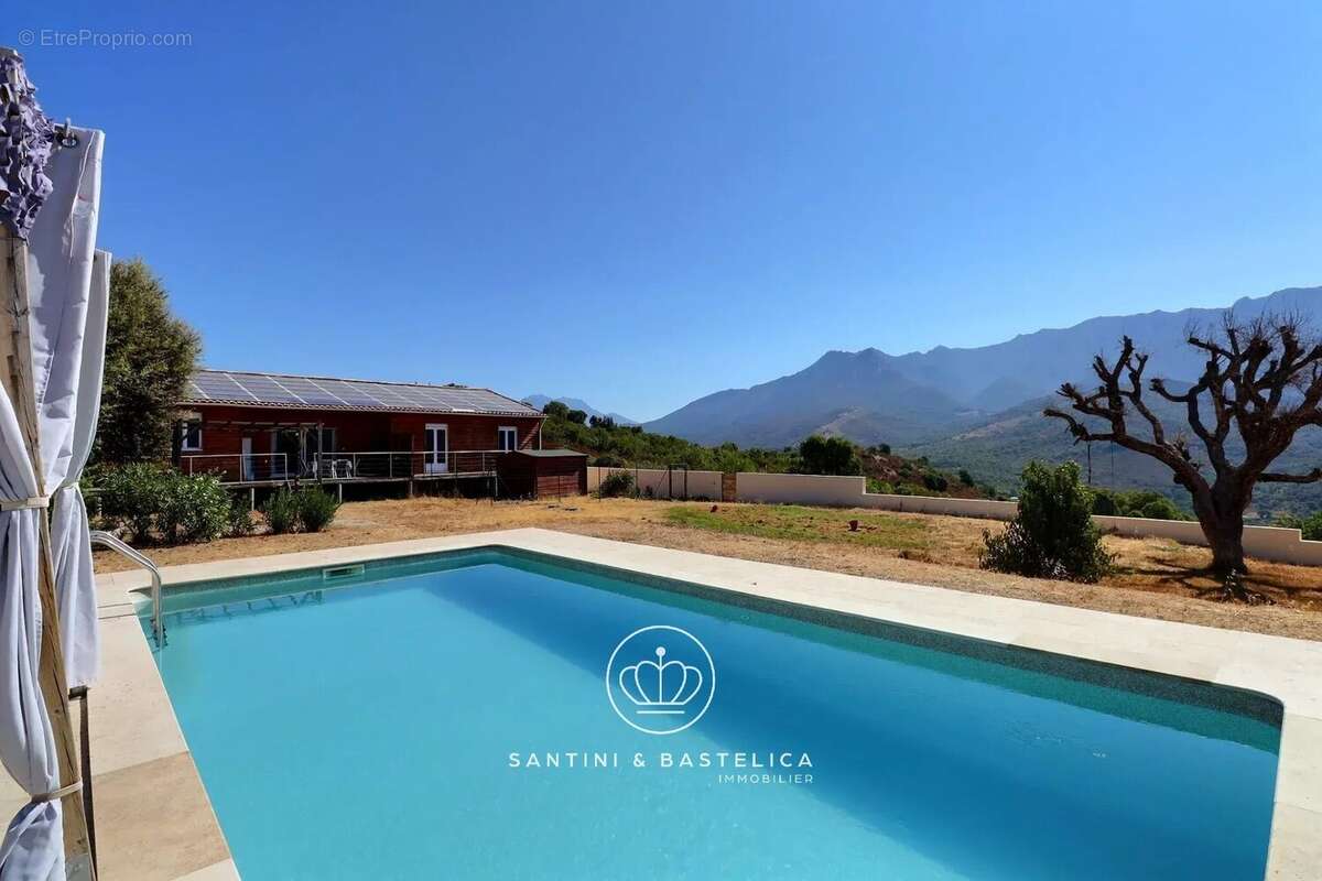 Maison à vendre  avec piscine - Plaine de Peri Ajaccio - photo 15