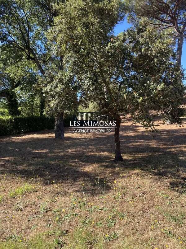 Maison à ROQUEBRUNE-SUR-ARGENS