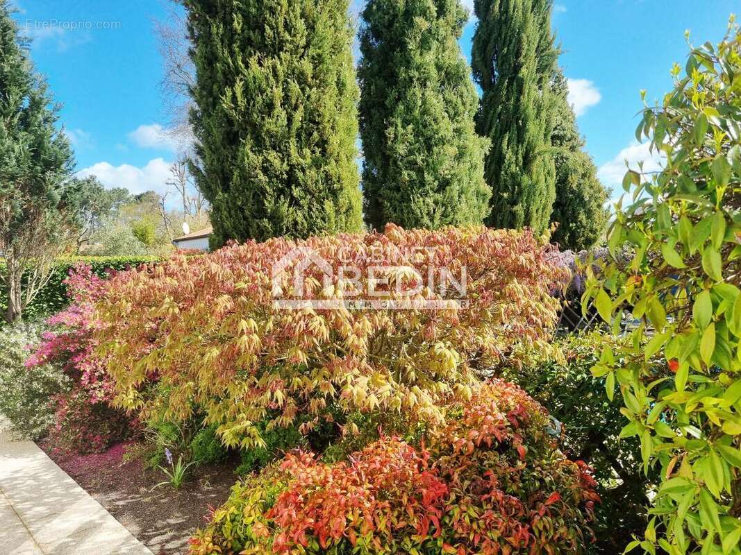 Maison à SAINT-MEDARD-EN-JALLES