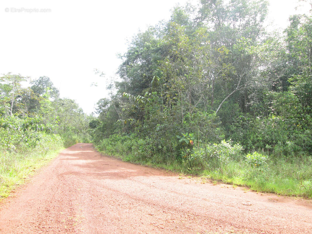 Terrain à SAINT-GEORGES