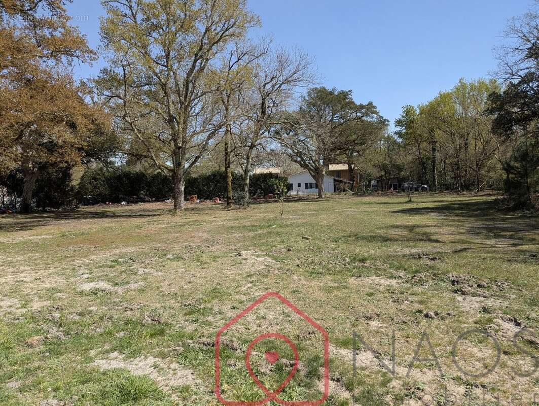 Maison à SAINT-PAUL-EN-BORN