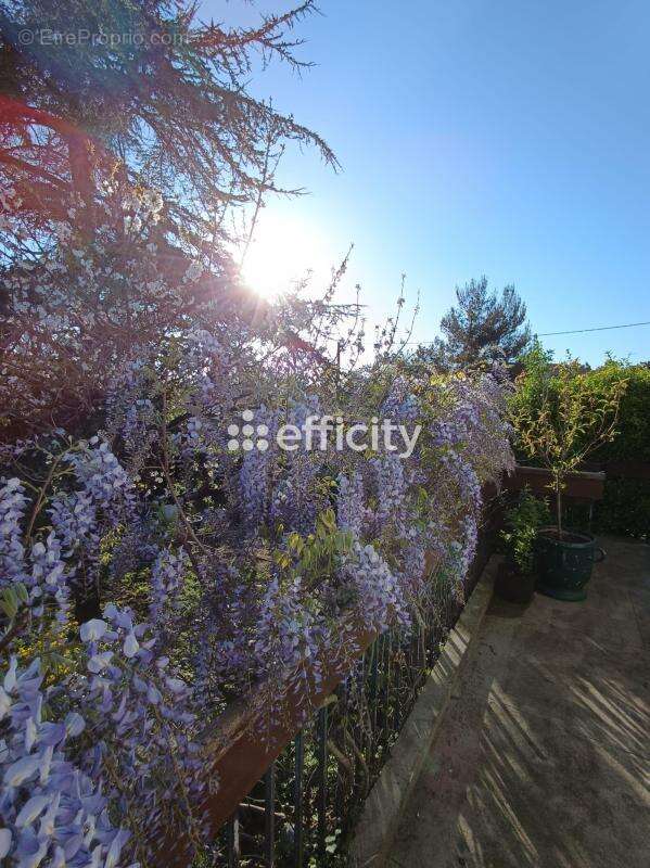 Maison 111 m² à Marennes  - photo 15