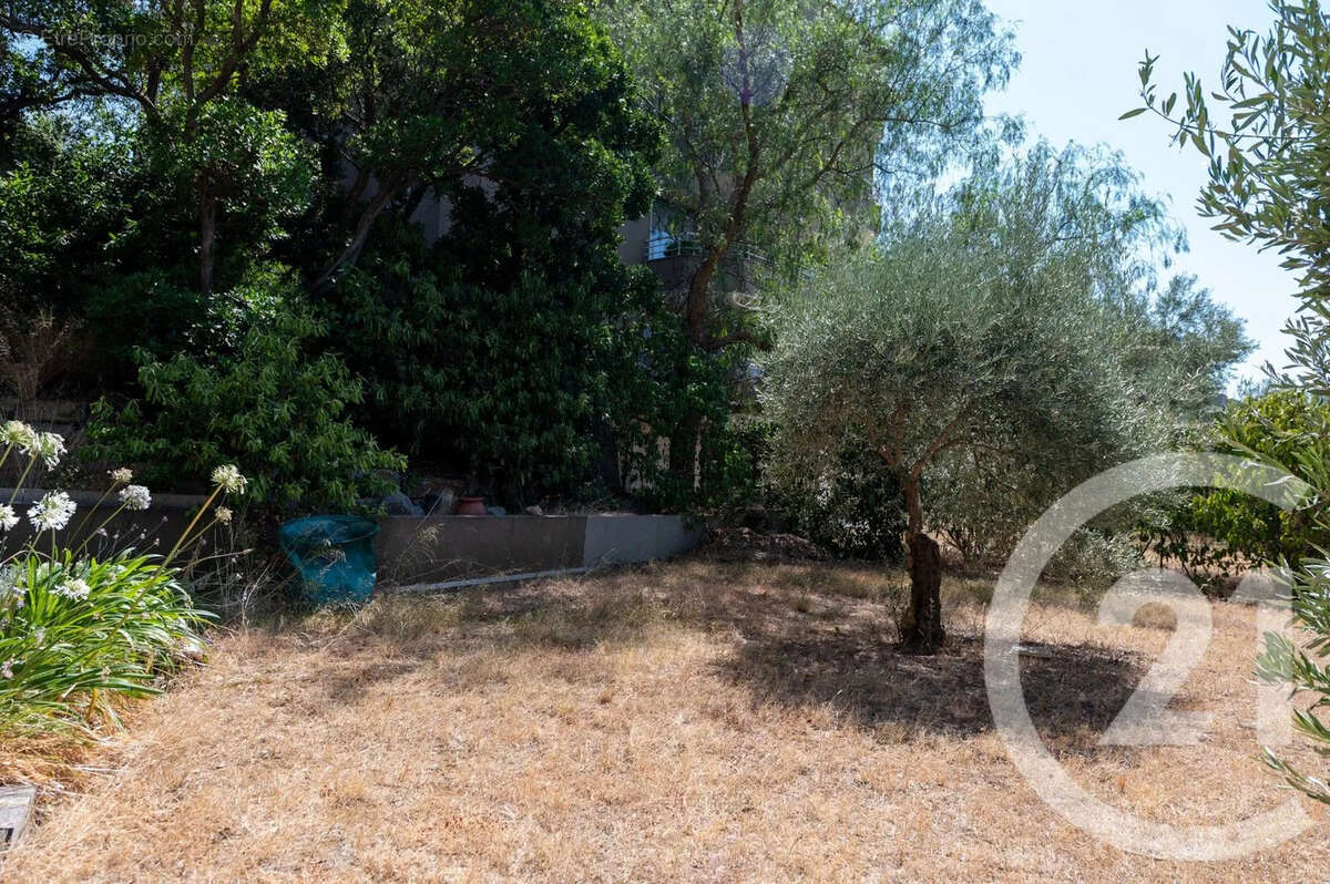 Appartement 50 m² à Cavalaire-Sur-Mer  - photo 3