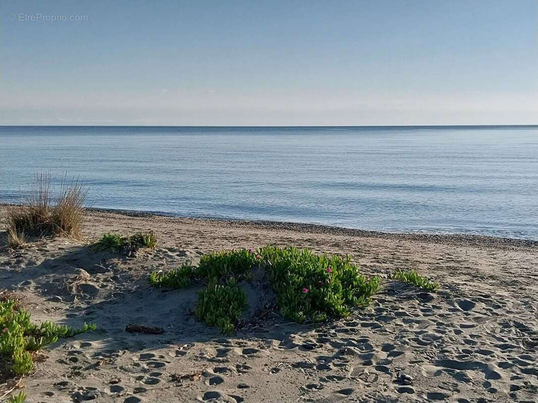 Appartement à SAN-NICOLAO