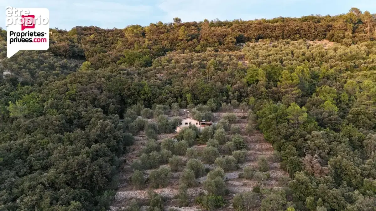Magnifique Oliveraie et forêt avec Cabanon en vallée de la Siagne 16190 m2 - photo 3